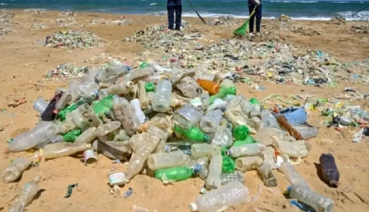 المغاربة يدعمون مكافحة النفايات البلاستيكية: نتائج استطلاع رأي حول الاقتصاد الدائري