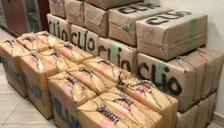 إحباط عملية تهريب 3.5 أطنان من الشيرا في الجديدة