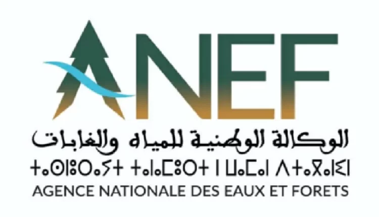 الجناح المغربي في (كوب 16)