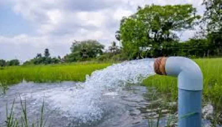 البواري يدافع عن الزراعات التصديرية وسط جدل حول استنزاف المياه