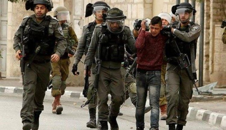 الاحتلال يعتقل 12 فلسطينيا
