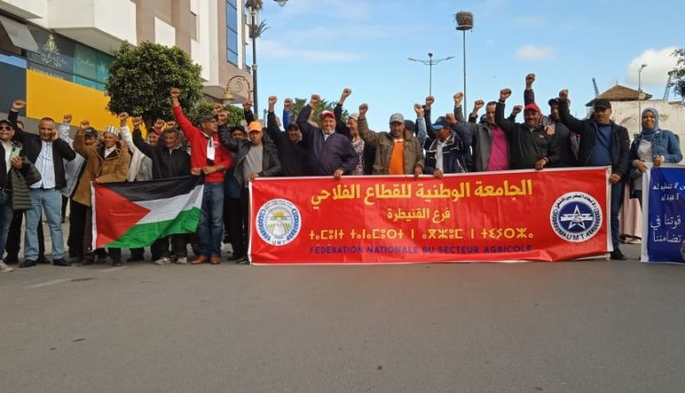 الجامعة الوطنية للقطاع الفلاحي