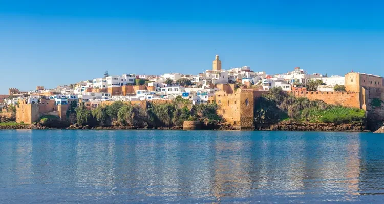 مشاريع استراتيجية