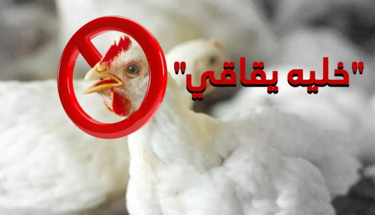 حملة هاشتاغ #خليوه_إقاقي: صوت المواطن المغربي ضد غلاء أسعار الدجاج