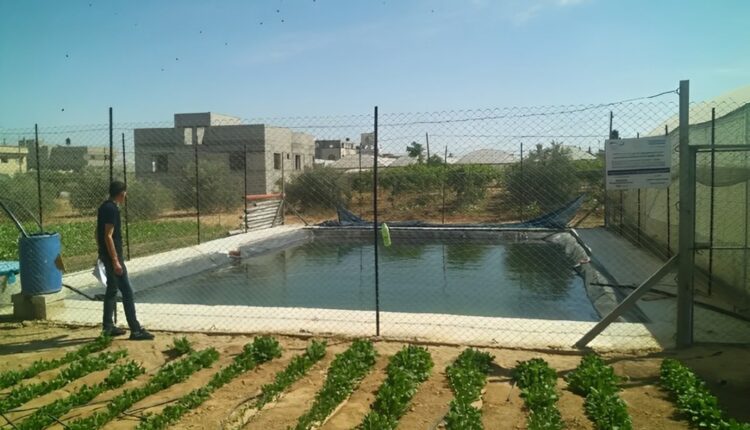 حصاد مياه الأمطار