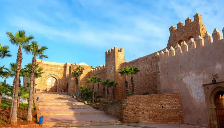 وحماية التراث المادي وغير المادي الوطني من محاولات الاستحواذ الأجنبي (وزير)