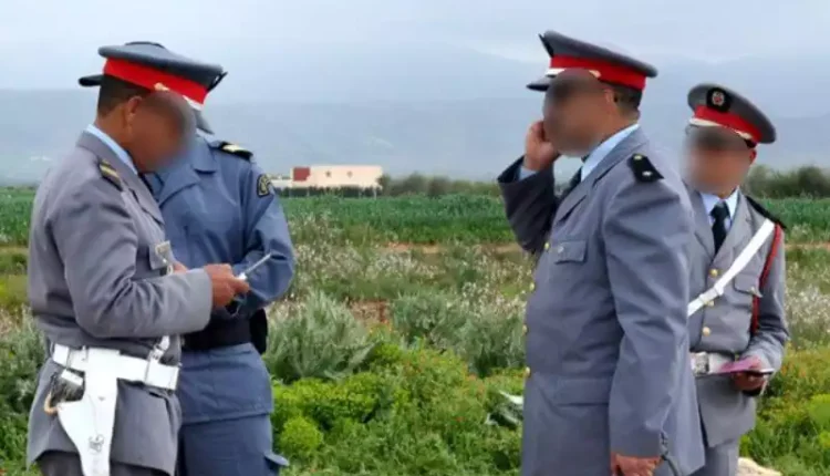 محكمة جرائم الأموال بمحكمة الإستئناف تتابع 37 دركيا ضمن شبكة للإتجاربالمخدرات