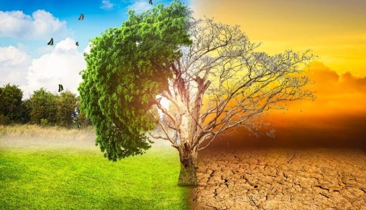 البنية الجيولوجية المعقدة للمغرب: تداخل العوامل الطبيعية عبر الزمن