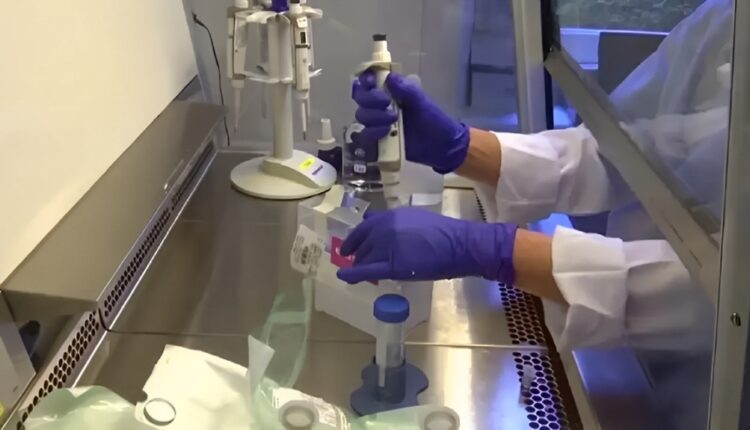 تطورات الوضع الصحي في المغرب: انخفاض ملحوظ في أعداد الإصابات اليومية بكوفيد-19