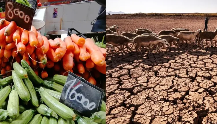 الجفاف وتقلب أسعار الطاقة يحدان من طموحات انتعاش الاقتصاد المغربي