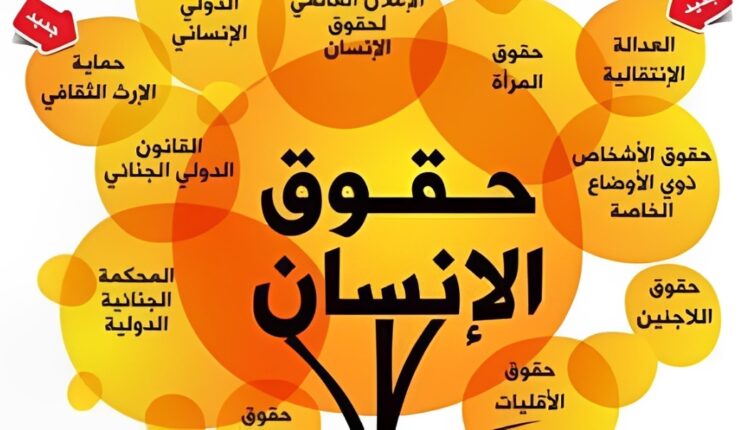 حقوق الإنسان في زمن المعلومات المضللة: دعوةٌ للديمقراطية