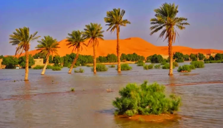مرزوكة، لوحة طبيعية خلابة تعكس إشعاع السياحة الوطنية