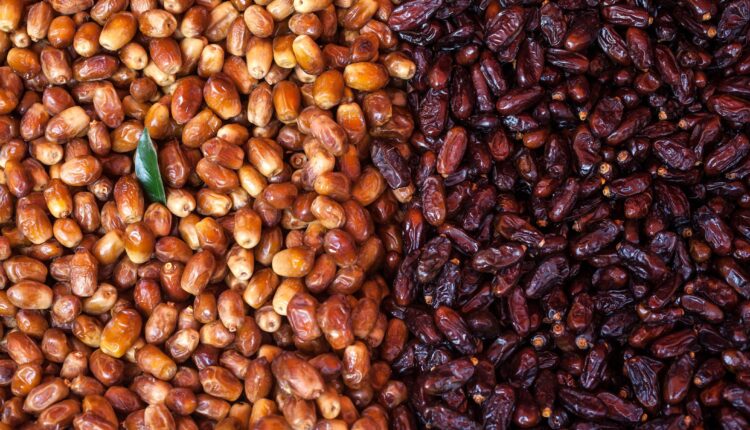 التمور وفوائدها ومخاطرها: تصريحات الدكتور حسن الشطيبي