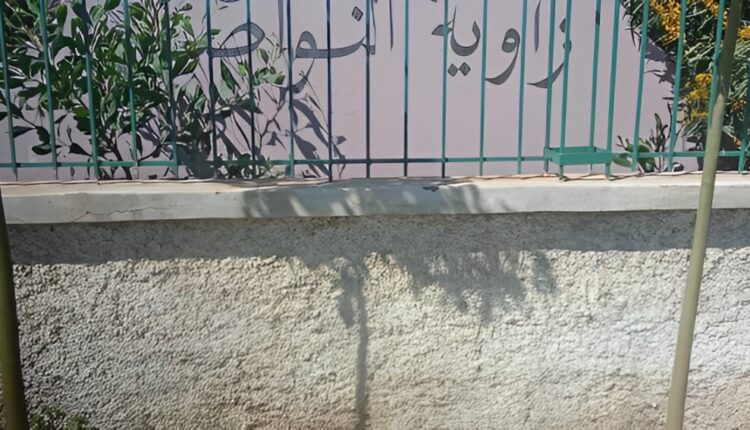 زاوية النواصر