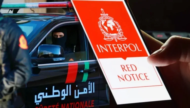 توقيف مواطنين بولونيين بتنسيق مع السلطات الأمريكية في طنجة