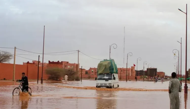 أمطار الربيع تُخفف من القلق حول شح المياه وتحقق الاكتفاء الذاتي لفترة مؤقتة