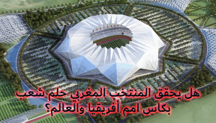 هل يتحقق حلم المغاربية بتحقيق كأسي أفريقيا والعالم؟