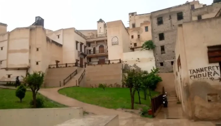 عودة وادي الجواهر للحياة بعد الأمطار