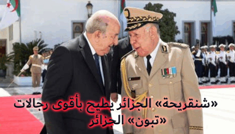 الجزائر: "شنقريحة" يطيح بأقوى رجال الرئيس "تبون" داخل قصر "المرادية"‎