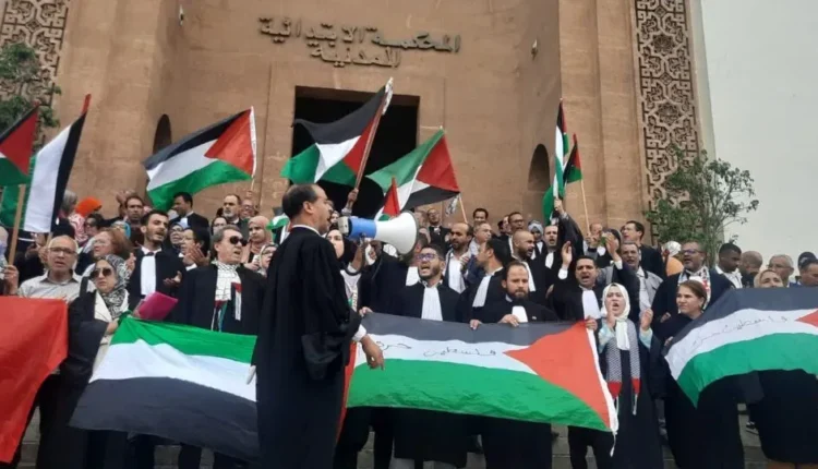 محامون مغاربة يوجهون رسالة لأخنوش بشأن دعم السلاح لإسرائيل