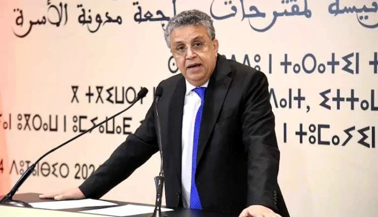 وزير العدل: الاعتراف بالعمل المنزلي واجب قانوني وأخلاقي