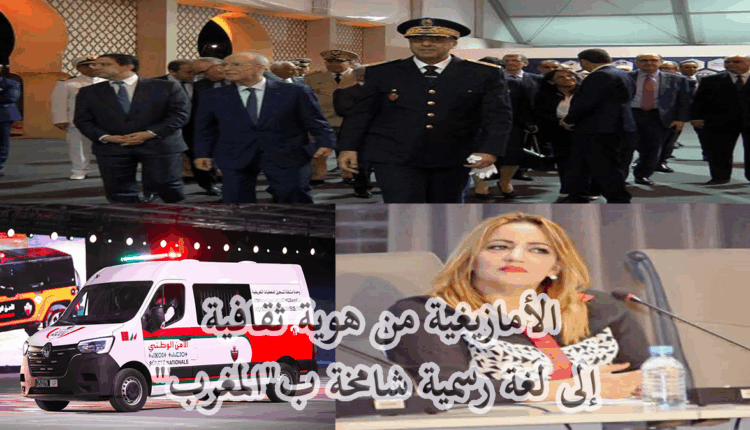 الأمازيغية من هوية ثقافية إلى لغة رسمية شامخة ب"المغرب"