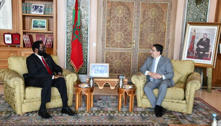 السيد بوريطة يستقبل رئيس لجنة الشؤون الخارجية بالبرلمان الغاني