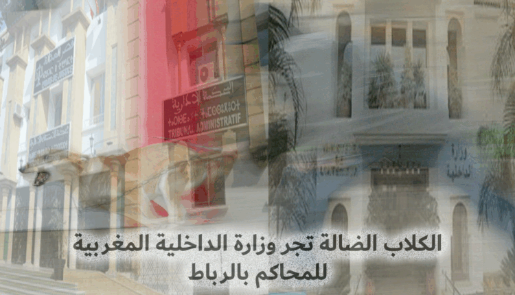 الكلاب الضالة تجر وزارة الداخلية المغربية للمحاكم ب"الرباط"
