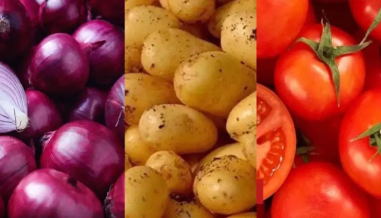 وزارة الفلاحة تنهي الدعم الاستثنائي لزراعة البصل والطماطم والبطاطس