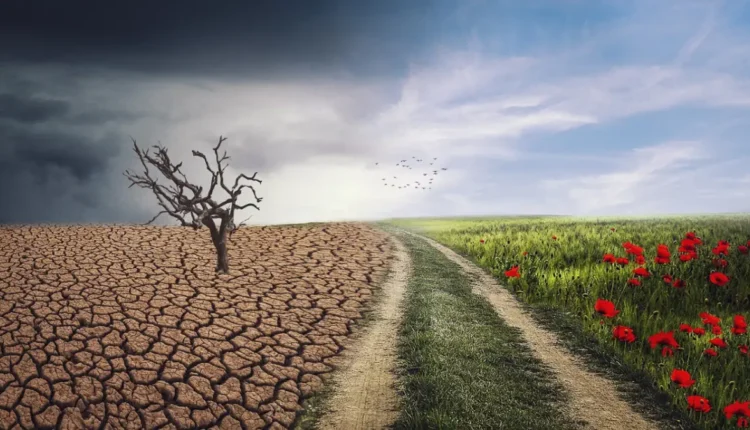 Cambio Climático Amenaza el Futuro de la Agricultura y el Turismo en España: Enfrentando los Retos Ambientales"