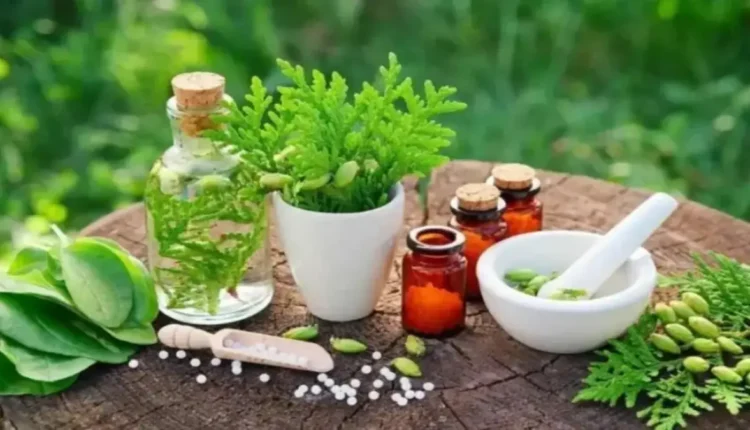 نقع أم غلي؟ أخطاء شائعة تهدد فوائد الأعشاب الطبية
