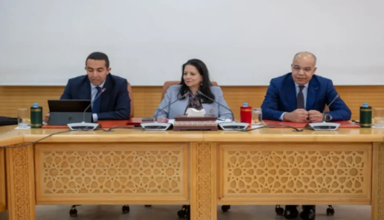 المزواغي يتولى قيادة وكالة التنمية الرقمية لتعزيز التحول الرقمي في المغرب