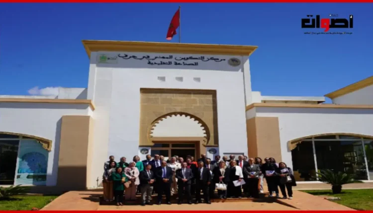 إصدار جديد بمناسبة الذكرى العشرين للمبادرة الوطنية للتنمية البشرية