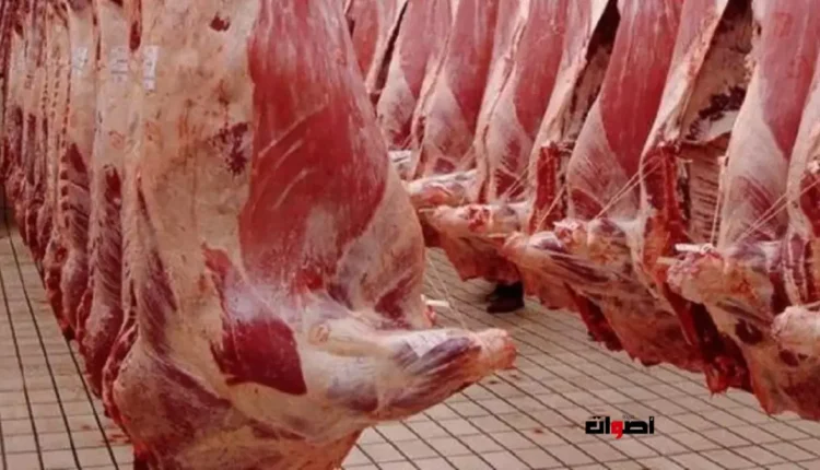 إقبال كثيف على محلات الجزارة بالبيضاء قبيل عيد الأضحى وسط إلغاء شعيرة الذبح