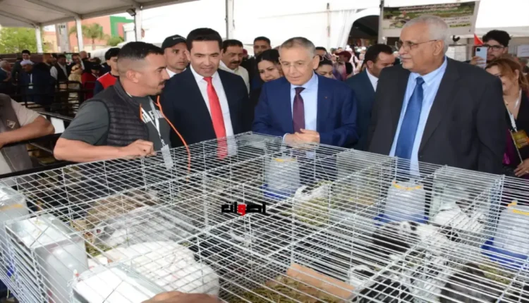 وجدة تحتفي بالاقتصاد الاجتماعي لتعزيز التنمية الشاملة