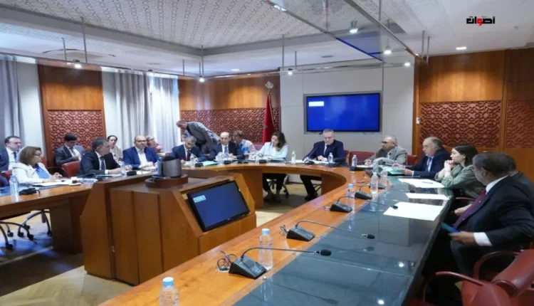 بنعلي: النجاعة الطاقية رهان وطني يتطلب تعبئة إصلاحية شاملة