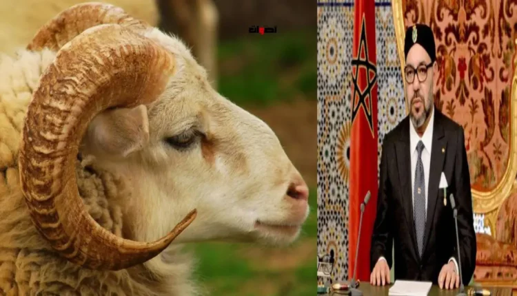 توجيه ملكي بعدم ذبح الأضحية: التحديات والتطلعات