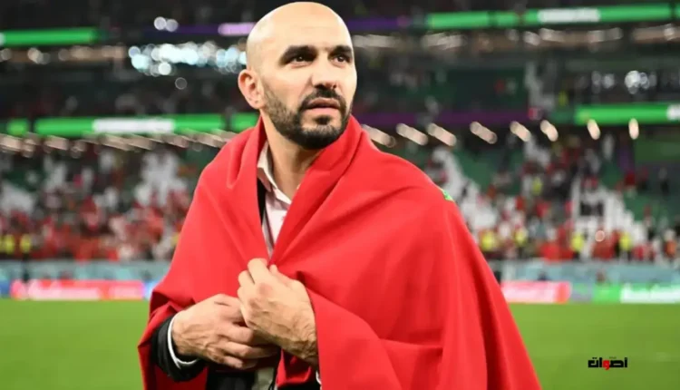 وليد الركراكي: لن تجد أفضل مني لقيادة منتخب المغرب للفوز بكأس أمم إفريقيا