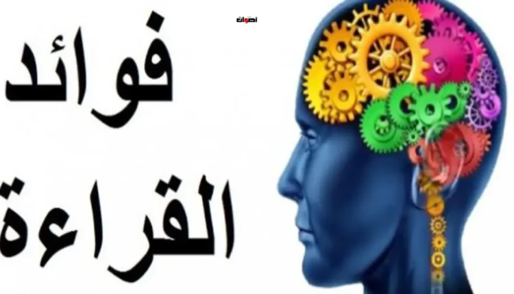 فائدة القراءة اليومية في تنمية العقل والذات