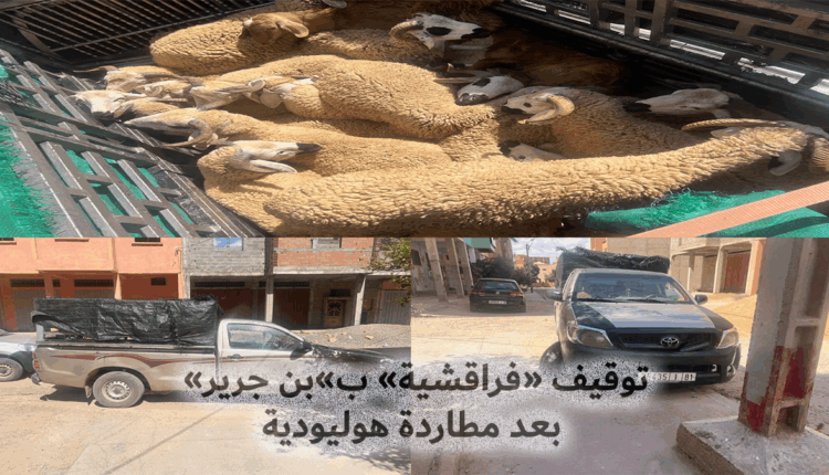 توقيف "فراقشية" ب"بن جرير" بعد مطاردة هوليودية