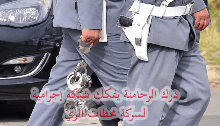 الرحامنة: تفكيك شبكة متخصصة في سرقة محطات السقي وتوقيف عنصرين من أفرادها