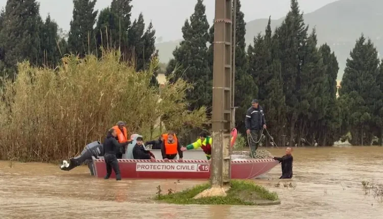 عملية إنقاذ معقدة في ضواحي الدريوش