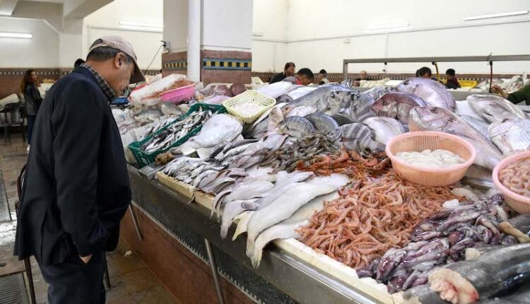 635 مليون درهم لتحديث أسواق الجملة للأسماك بالمغرب