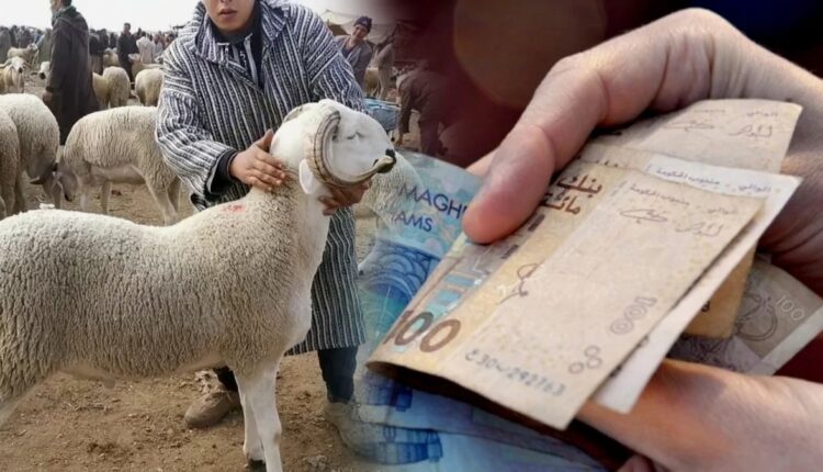 برنامج حكومي جديد لدعم مربي الماشية في المغرب
