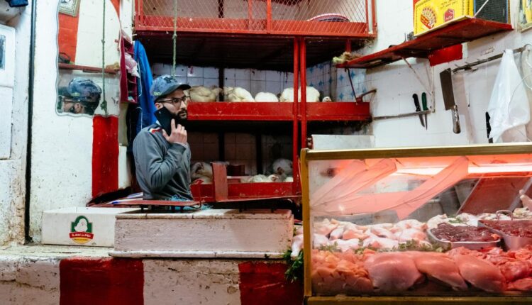 ارتفاع أسعار الدواجن في المغرب قبيل عيد الأضحى