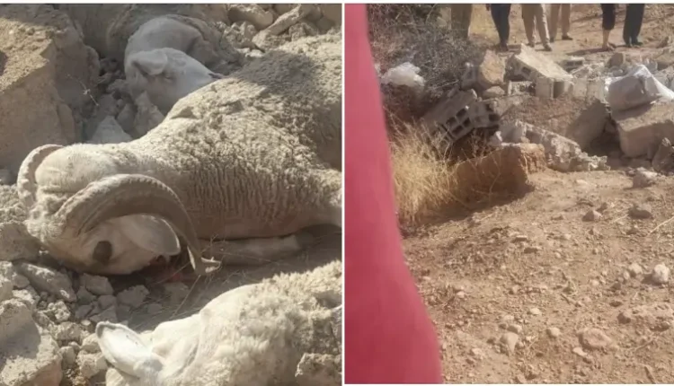 وفاة خمسيني بعد انهيار سور مدرسة بأزيلال