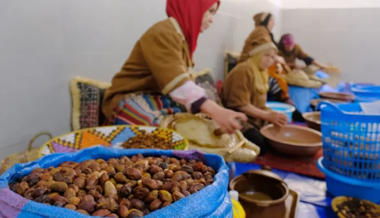 تارودانت.. القطاع التعاوني رافعة أساسية لتثمين زيت الأركان