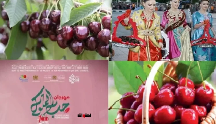 استياء واسع في صفرو من عشوائية تنظيم موسم حب الملوك