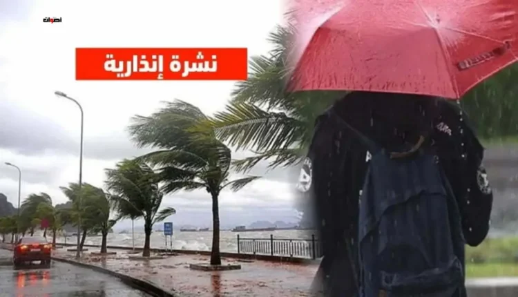زخات رعدية محليا قوية مصحوبة بهبات رياح مرتقبة اليوم الاثنين بعدد من مناطق المملكة