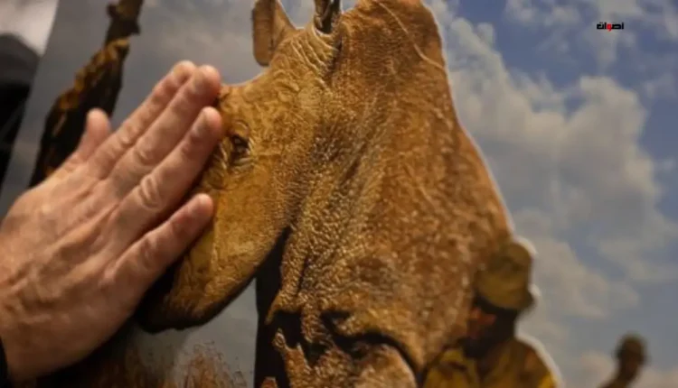 "World Unseen" .. معرض يتيح للمكفوفين وضعاف البصر الاستمتاع بتجربة فنية غنية